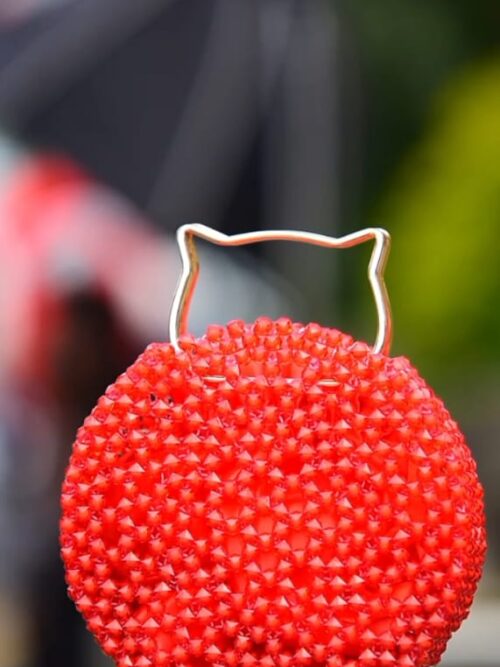 Crimson Charm Bridal Beaded Bag